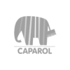 Caparol – ToxInfo referencia